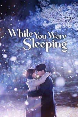 While You Were Sleeping - Season 1