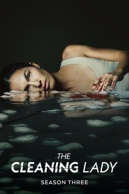 The Cleaning Lady - Season 3