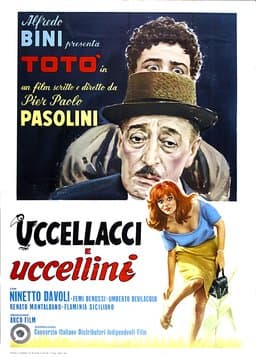 The Hawks and the Sparrows (1966)