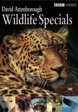 Wildlife Specials - Extras (Complete Series)