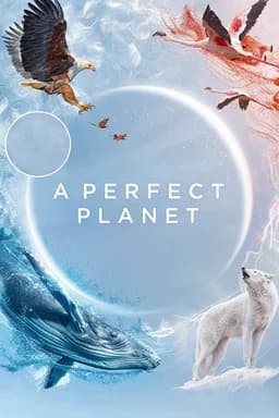A Perfect Planet - Season 1