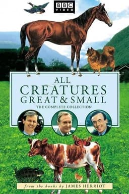 All Creatures Great & Small - Season 5