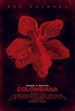 Colombiana (2011)
