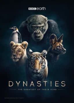 Dynasties - Season 1