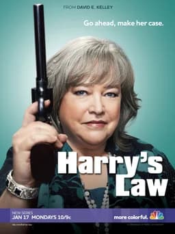 Harry's Law - Season 1