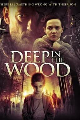 In fondo al bosco (2015)