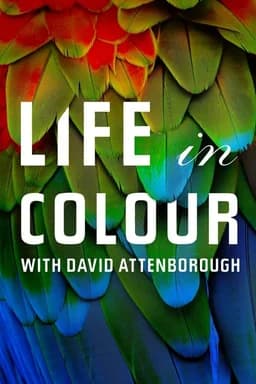 Life in Colour - Season 1