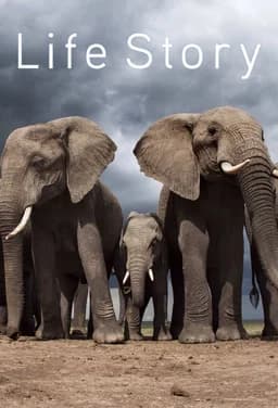 Life Story - Season 1