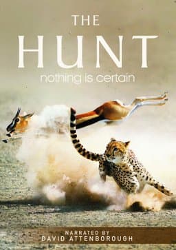 The Hunt - Season 1