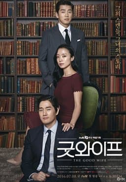 The Good Wife - Season 1