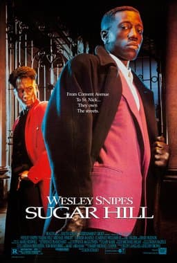 Sugar Hill (1993)